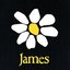 James - James album artwork