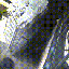 Avatar for Preagle