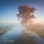 Streams of Serenity