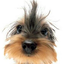 Avatar de jt314e