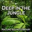 Deep in the Jungle (Nature Sounds for Deep Sleep, Relaxation, Meditation, Spa, Sound Therapy, Studying, Healing Massage, Yoga and Chakra Balancing)