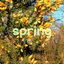 Spring - Single