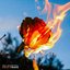 Heatwave - Single