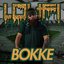 Bokke