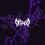 Collider / Stray
