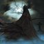 Midnight Wraith