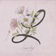Loverboy - Single