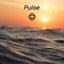 Pulse