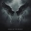 Wings of the Broken