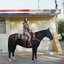 Horses and Divorces