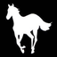 whitepony74 的头像