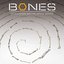 Bones Theme (From "Bones"/2012 Extended Mix)