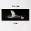 אמון - Single