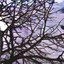 Cloudburst - Single