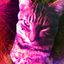 Avatar for zaprox913