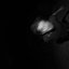 Dewar's Good Time - Single