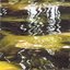 Substance Organic