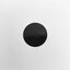 Black Dot