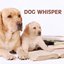Dog Whisper: Relaxation Music and Calming Music for Dog, Whisperer in Wildlife