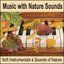 Music with Nature Sounds: Soft Instrumentals & Sounds of Nature for Healing Music with Ocean Waves and Forest Sounds