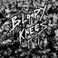 BLOODY KNEES