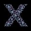 X Amada