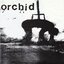 Orchid / Pig Destroyer