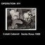 1988-11-09: Cotati Caberet, Santa Rosa, CA, USA