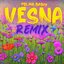 Vesna (Remix)