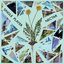 Single Player / Nectar Split