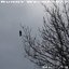 Ulnar - EP