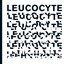 Leucocyte