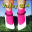 The Plimsouls - Valley Girl album artwork