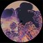 Aesthetic Solutions EP