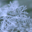 Avatar für snowboy_sleep