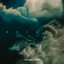 Breach - Single