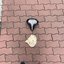 どこか遠くへ