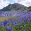 The Bluebells Of Scotland