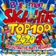 Ballermann Ski Hits Top 100 2020.1
