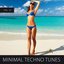Minimal Techno Tunes, Vol. 55