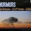 Murmurs