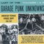 Last Of The Garage Punk Unknowns Volumes 1 & 2 (American Teenage Garage Hoot! 1965-1967)