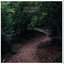 Solaced - Single