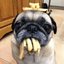 Avatar for rustedembrace