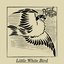 Little White Bird - Single