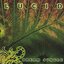 Lucid