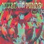 Mixed Up Minds Part 2 - 1969-1973 - Remastered