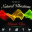Ultimate Vibes: The Best Of