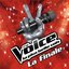 The Voice : La Plus Belle Voix