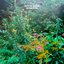 Sunroom - Single